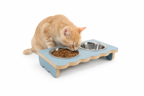 miska niebieska + kot.png